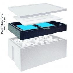 Contenedor portatil isotermo para 6 carapinas
