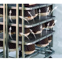 Carro para Panettone y Colomba giratorio con bandeja de 60x40 en acero inoxidable para horno rotativo